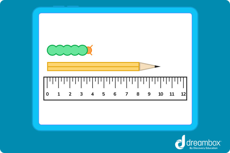 Pencil and caterpillar